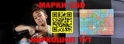 гидра Кандалакша