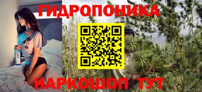 гидра Кандалакша