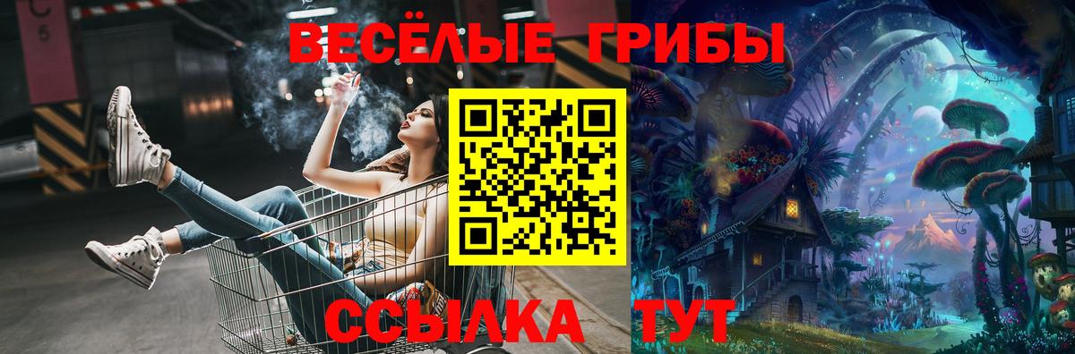 Красноуфимск  Псилоцибиновые грибы GOLDEN TEACHER  Галлюциногенные грибы Psilocybine cubensis  Вход с VPN 