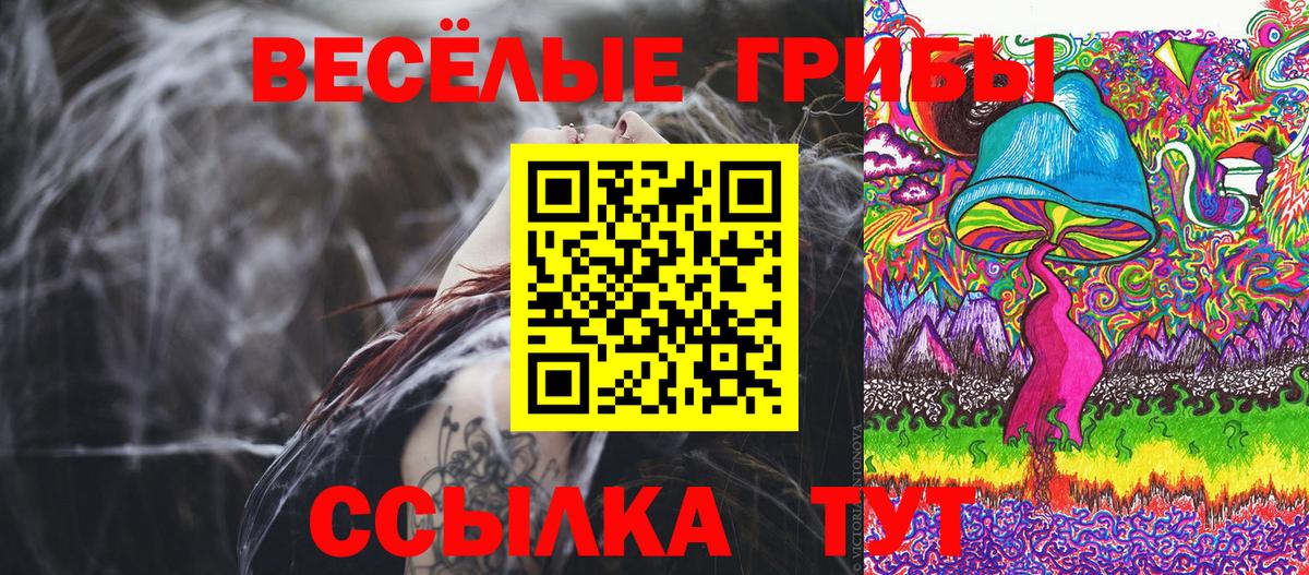 Псилоцибиновые грибы GOLDEN TEACHER Красноуфимск